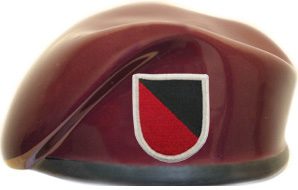 311th Military Intelligence Long Range Surveillance Ceramic Beret With Flash