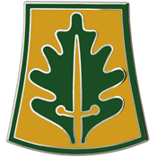 333rd Military Police Brigade CSIB