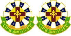 376th Combat Support Hospital Unit Crest