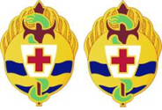 395th Combat Support Hospital Unit Crest