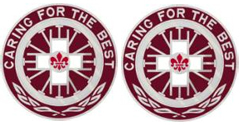 396th Combat Support Hospital Unit Crest