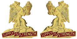 407th Support Battalion Unit Crest