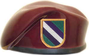 422nd Civil Affairs Battalion Ceramic Beret With Flash