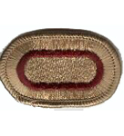426th Forward Support Battalion Oval