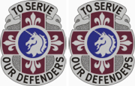 429th Medical Battalion Unit Crest