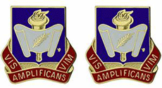 489th Civil Affairs Battalion Unit Crest