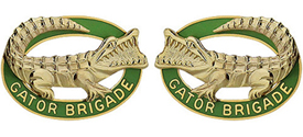 53rd Infantry Brigade Unit Crest