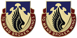 602nd Support Battalion Unit Crest
