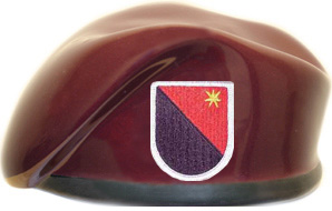 6th Engineer Airborne Battalion Ceramic Beret With Flash