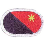 6th Engineer Battalion Oval