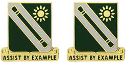 701st Military Police Battalion Unit Crest