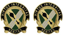 733rd Military Police Battalion Unit Crest