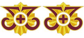 73rd Combat Support Hospital Unit Crest