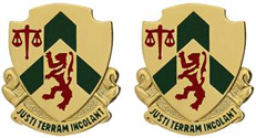 796th Military Police Battalion Unit Crest