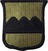 80th Infantry Division Training OCP Scorpion Shoulder Patch With Velcro