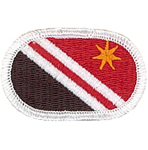 84th Engineer Company Oval