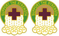 865th Combat Support Hospital Unit Crest