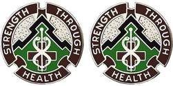 8th Medical Brigade Unit Crest
