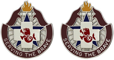 914th Combat Support Hospital Unit Crest