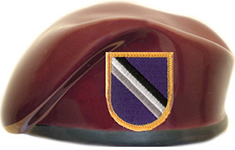95th Civil Affairs Brigade Ceramic Beret With Flash
