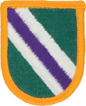 96th Civil Affairs Battalion Beret Flash