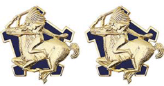 9th Cavalry Regiment Unit Crest