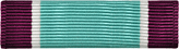 Coast Guard Distinguished Service Award