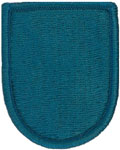 19th Special Forces Group Beret Flash