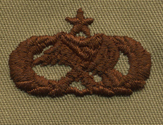 Aircraft Munition Maintenance Badge