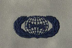 Intelligence Badge