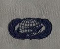 Manpower & Personnel Badge