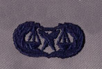 Paralegal Badge