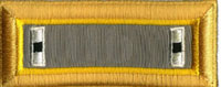 Finance Officer Rayon Shoulder Boards