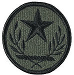 Texas State Patch