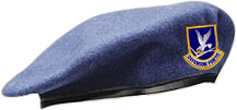 Air Force Wool Berets