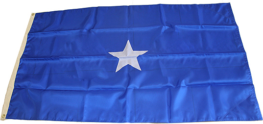 Air Force Brigadier General (1 Star) Flag