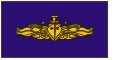 USN Gold Surface Warfare Nylon Snap And Ring Award Pennant