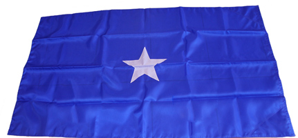 1-Star Admiral Flag