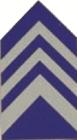 COL JROTC Coat Insignia