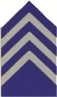 CPT JROTC Coat Insignia