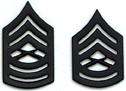 Black Metal & Sta-Black Pin On Insignia