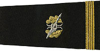 Law Community Shoulder Boards & Epaulets