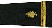 Medical Service Shoulder Boards & Epaulets