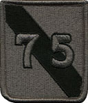 75th Division (Training Support) Patch