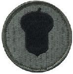 87th Division (Training Support) Patch