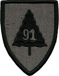 91st Division (Training Support) Patch