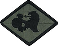 266th Finance Command Patch