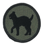 81st Regional Readiness Command Patch