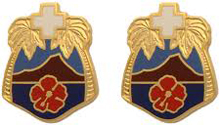 Tripler General Hospital Unit Crest