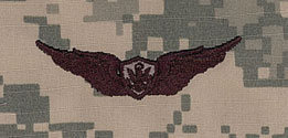 Aircraft Crewman Badge ACU Sew On Basic